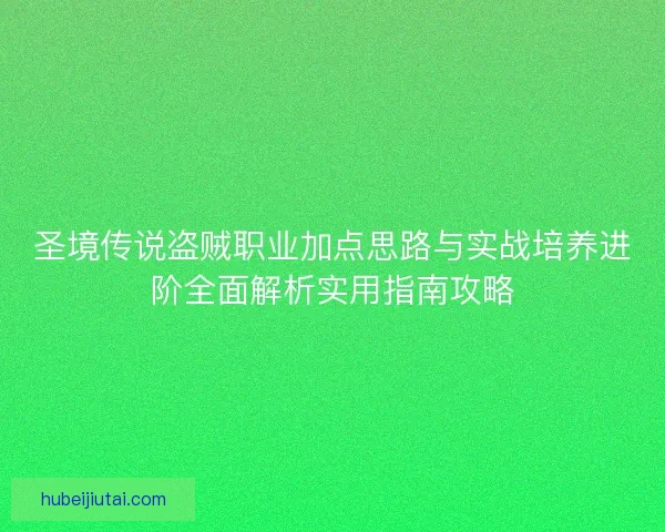 圣境传说盗贼职业加点思路与实战培养进阶全面解析实用指南攻略